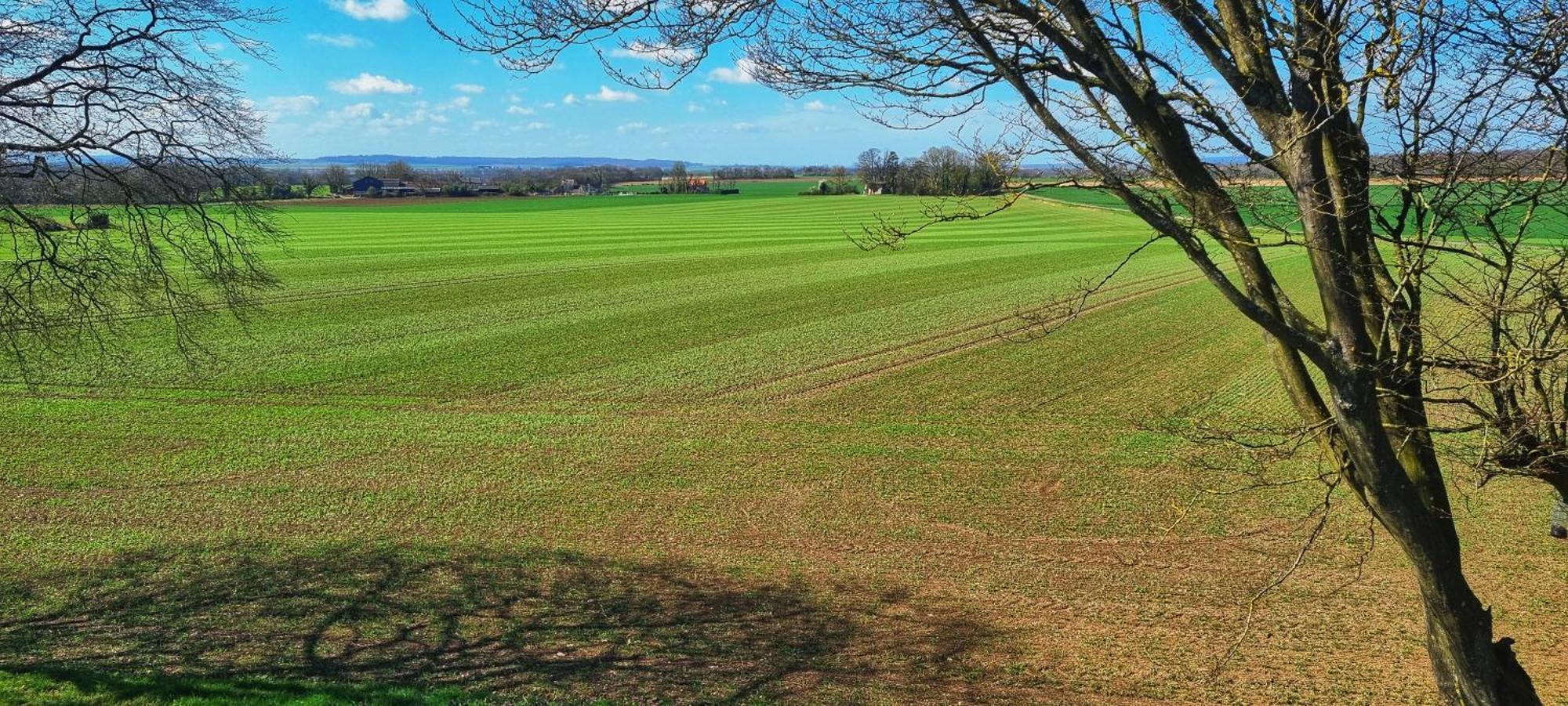 Gite Du Grand Frene Orrouy Extérieur photo