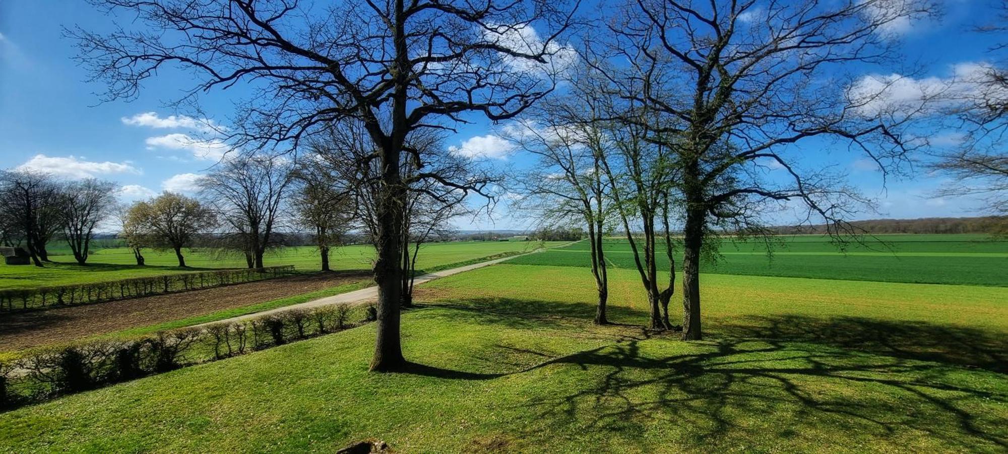 Gite Du Grand Frene Orrouy Extérieur photo